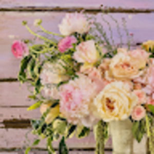 Meet your Posher, Renee